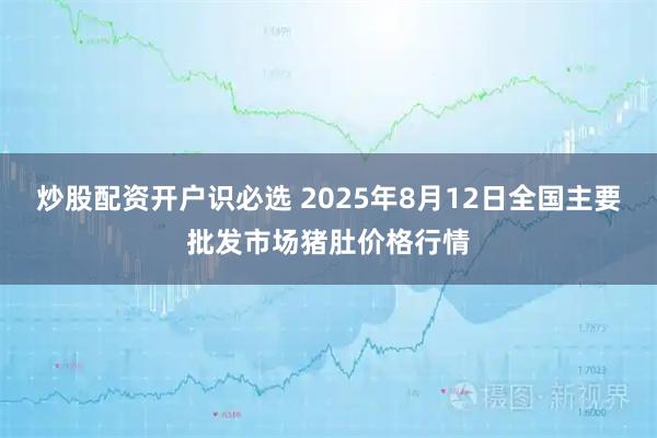 炒股配资开户识必选 2025年8月12日全国主要批发市场猪肚价格行情